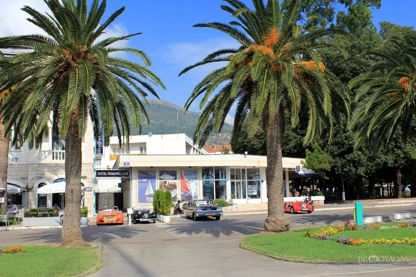 Tivat